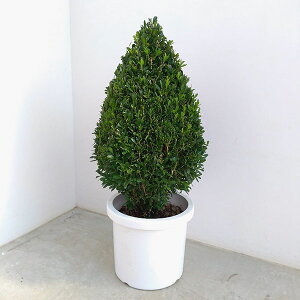 Ԗ ؂̕c/cQFEC^[WFElpgsA[10|bg