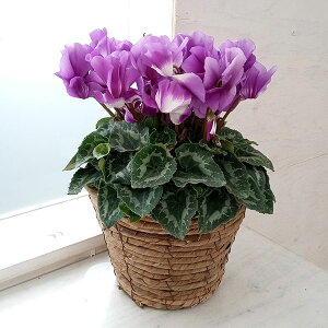 VNFpu[5^oXPbgiuEjKG50A