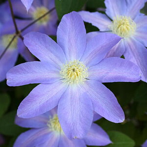 N}`X̕c/N}`XFRi~igj4.5|bgipeXnj