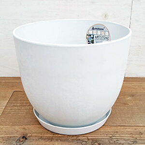 A[gXg[ Eh zCgSia28cmj󂯎Mt