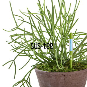 TXeB[FMTCYiO[j 6Zbg