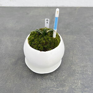 ϗtA/IgiNjFEA^}iMETXeB[t