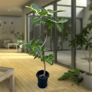 ϗtA/[]tBJXFAeV}@8AiMtj