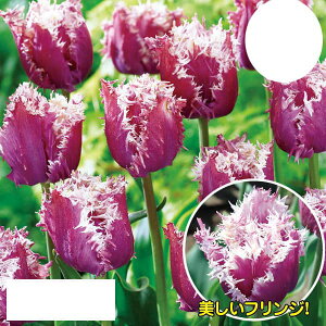 /`[bvFN`[J~Y3 2Zbg