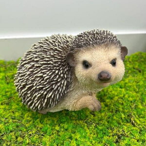 WooBiaFEnlY~iH19111-1j