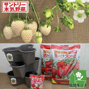 ؂̕c/͔|Zbgin[x[|bgjƂc9i(R)i݂jj