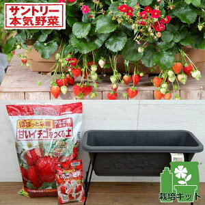 ؂̕c/͔|Zbgiv^[X^hjFlGȂ肢c2i[Yx[(R)bhj