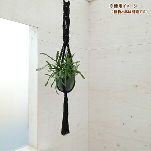 N vgno[F^CvB@ubNi100cmA5pj