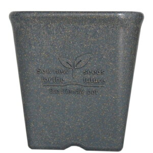 ݂XNGA|bg12^lCr[iEs12.2cmA12.5cmAe0.9Lj