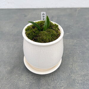 ϗtA/IgiNjFoEA^XeEhS