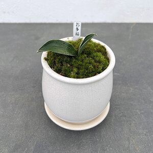 ϗtA/IgiNjFEA^XeEhS