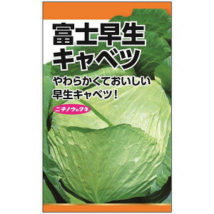 LxcFxmLxc̎[؃^l]