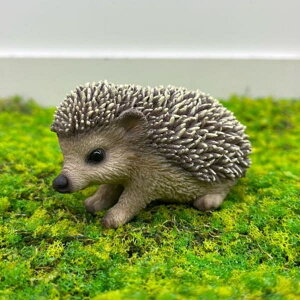 WooBiaFnlY~̐ԂiH20525-Pj