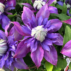 N}`X̕c/N}`XF}WbNt@Ee4|bgiցj