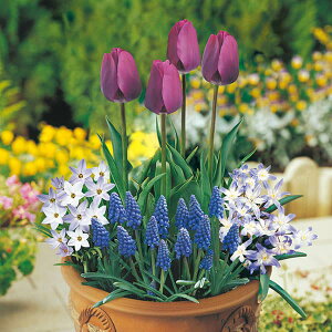 /ZbgF̂܂ܐA@񂹐A͔|Zbgup[vv24