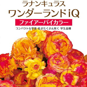 /iLXF_[hiQFt@CA[oCJ[5