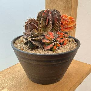 ϗtA/T{eFMmJLE@nCubh@724-04