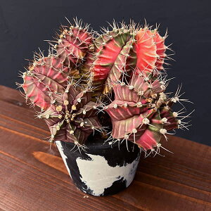 ϗtA/T{eFMmJLE@nCubh@324-02