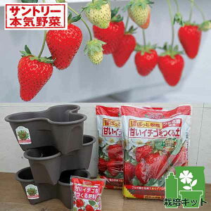 ؂̕c/͔|Zbgin[x[|bgjƂc9i炭Ȃ(R)C`Sj