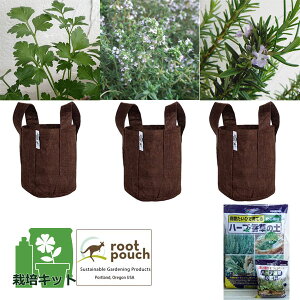 n[u̕c/n[u͔|Zbgi[c|[`EyE엿tjFC^ApZER^CE[Y}[