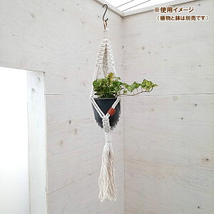 N vgno[F^CvA@i`^STCYi70cmA4pj