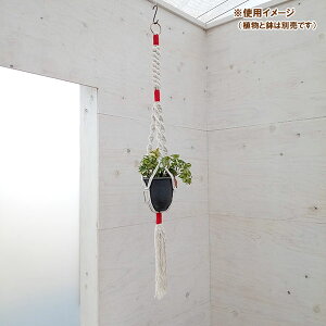 N vgno[F^CvC@i` × bh^STCYi90cmA5pj