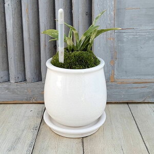 ϗtA/IgiNjFPOEA^XeEhSETXeB[t