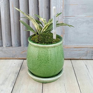 ϗtA/IgiNjFPOEA^XeEhSETXeB[t