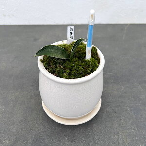 ϗtA/IgiNjFEA^XeEhSETXeB[t