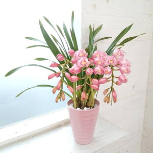 VrWEFGWF|Cg 3{ 5.5A A[`d