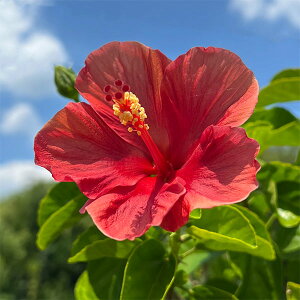 i킯jnCrXJXFTZbgE 7A