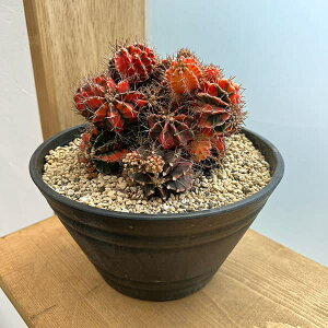 ϗtA/T{eFMmJLE@nCubh@724-05