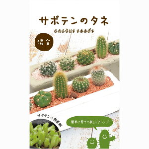 T{e̎i~bNXj[قڎN܂@^l]