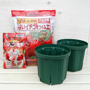 �������p�F�Ƃ�ł��Ȃ��|�b�g�F6��CSM-180�i���X�O���[���j2�Ɠy5L�Ɣ엿200g�̃Z�b�g