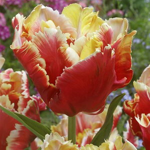 /`[bvFDJp[bg@5ZbgiPj