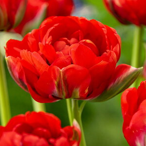 /`[bvF{oXeBbNbh@5ZbgiDLj