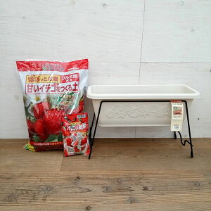 pFv^[X^hSi30cmjƃni[ v^[ 55^ i55cmj AC{[Ɠy12LƔ엿200g̃Zbg