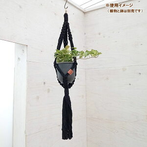 N vgno[F^CvA@ubN^STCYi70cmA4pj