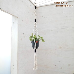 N vgno[F^CvC@i` × ubN^STCYi90cmA5pj