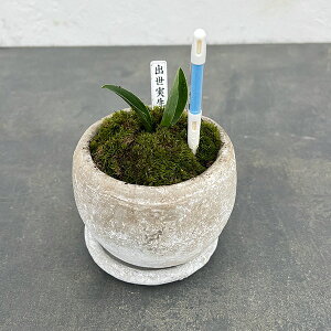 ϗtA/IgiNjFoEA^[b^{ESSETXeB[t