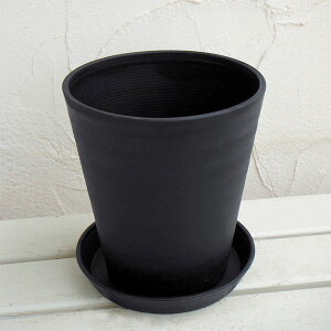 ZA[g6󂯎Mtij 2Zbg