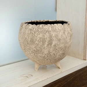 Vi܂jFtMia12cmjEMȂ