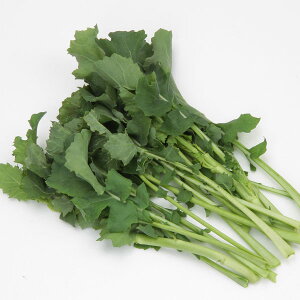 ؂̕c/i؁F{؂̕c10AJbgpbNi10j 2Zbgiv20j