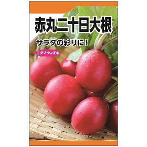 _CRFԊۓ\卪̎[؃^l][ncJ_CR̃^l]