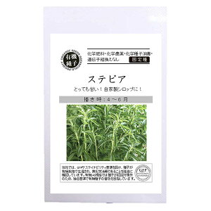 �n�[�u�̎�F�X�e�r�A[�^�l]