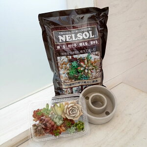 ϗtA/gtÃZg[X񂹐A쐬ZbgS