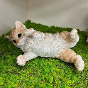 [�I���Z�[��]WooBia�F�����钃�g���L�iH20390-1�j