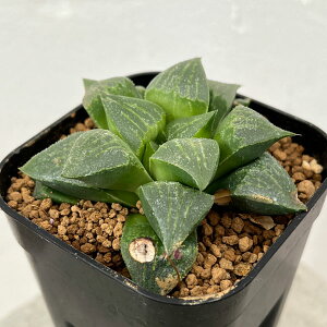 ϗtA/nI`AFTKsN^I×~[^gsO}GA c 8cmXNGA