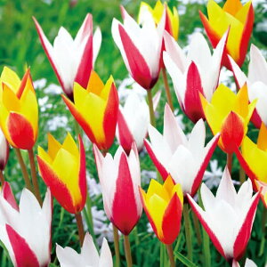 /`[bvinjF2F炫Rri8Zbgj