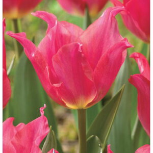 /`[bvi炫jFveBu 3iLj